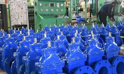 聚焦主戰(zhàn)略 錨定主定位 譜寫桑落墅鎮(zhèn)黃河流域生態(tài)保護和高質(zhì)量發(fā)展新篇章