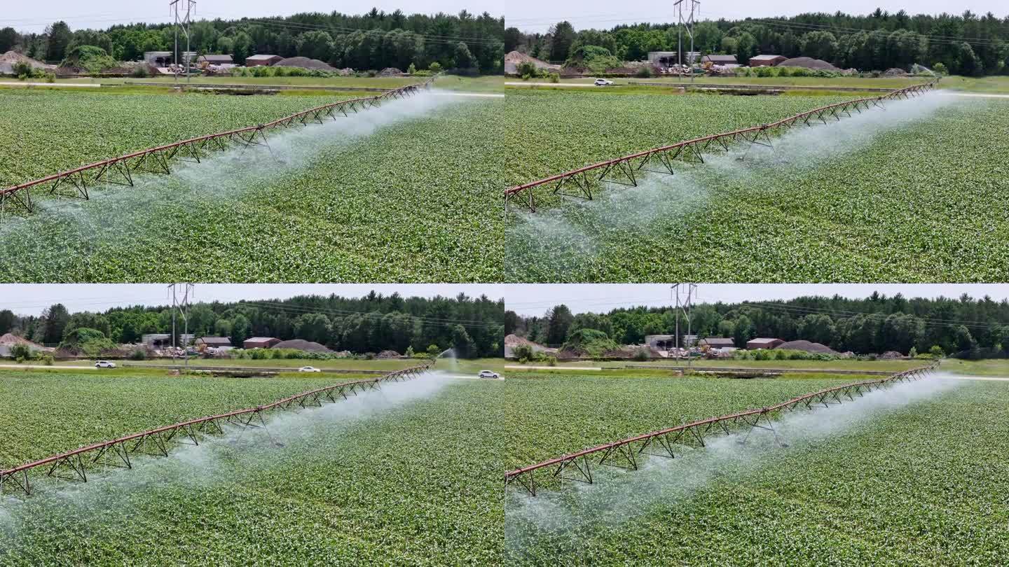 威斯康辛州中部的一片農(nóng)田正在用灑水系統(tǒng)進(jìn)行灌溉。